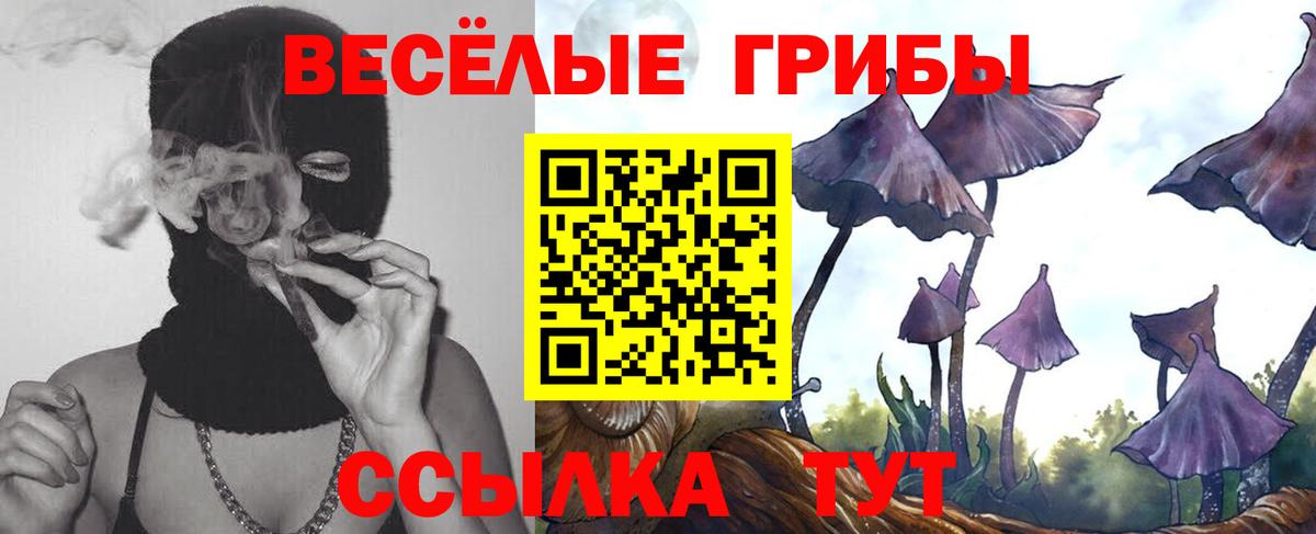 Псилоцибиновые грибы Cubensis  Вход с VPN  Крымск 