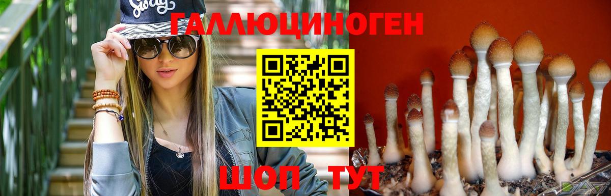 Псилоцибиновые грибы прущие грибы Крымск